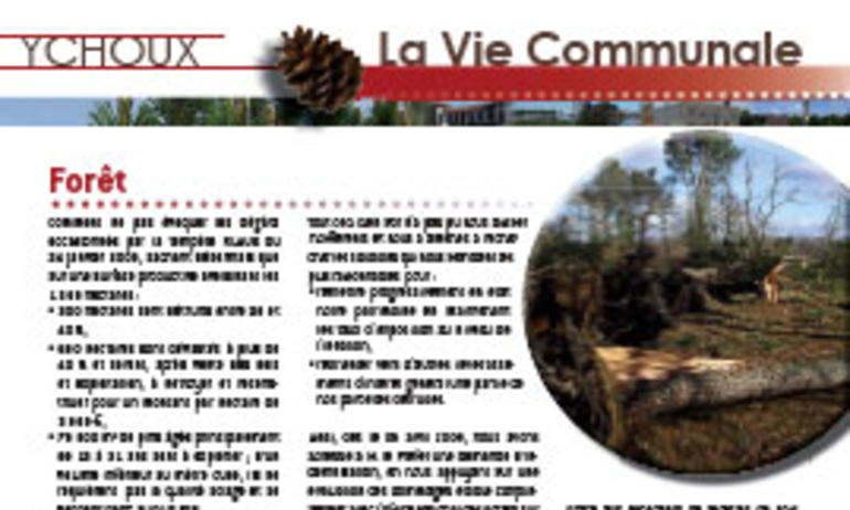 Le bulletin municipal  2009