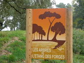 L’arboretum « Un site à découvrir en famille »