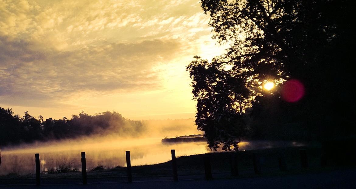 Lever de soleil sur l'étang des forges