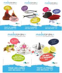 affiche medialandes
