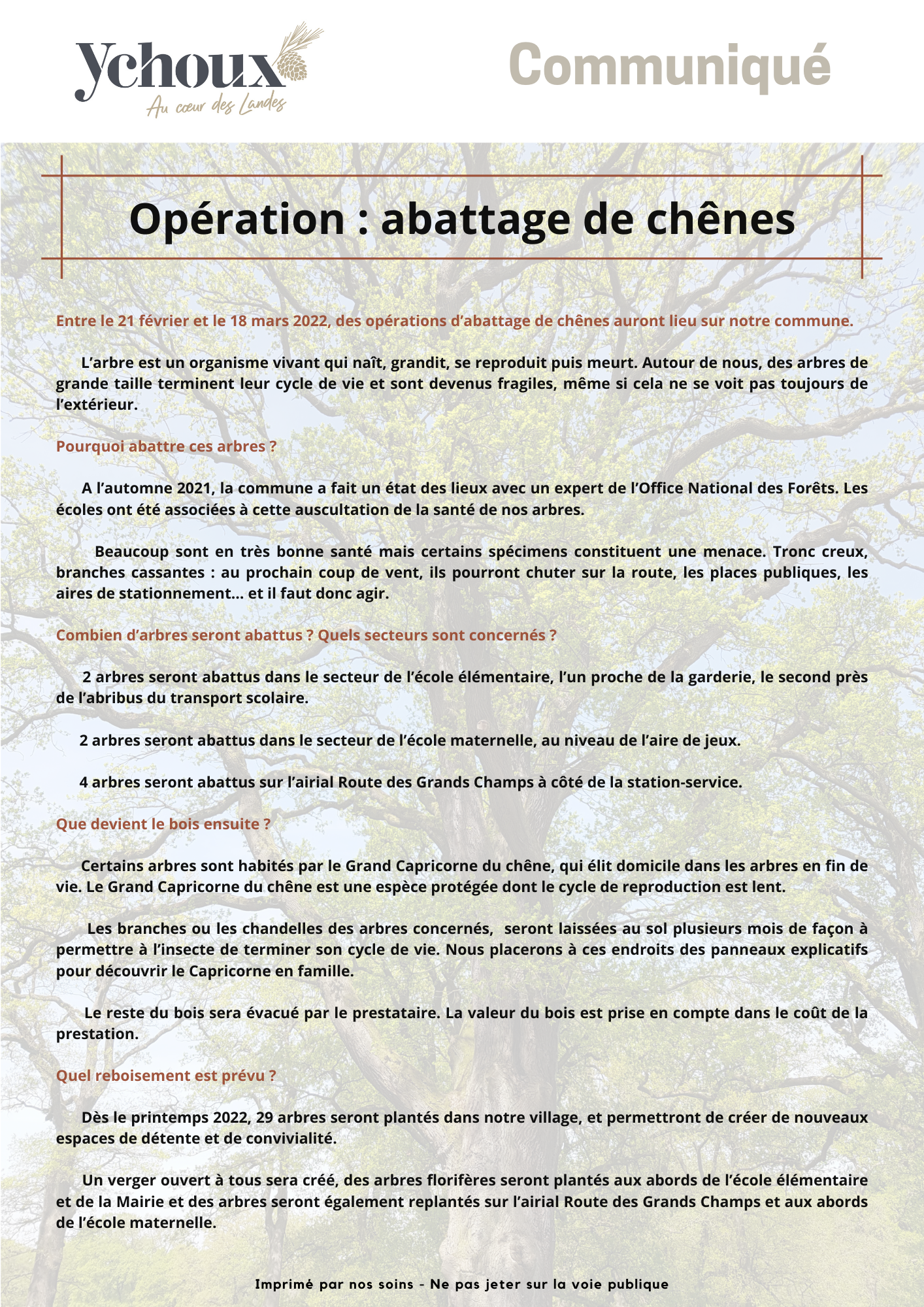 opération Abattage de chênes