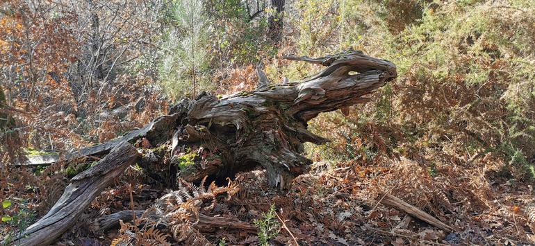 2ème édition du concours photo