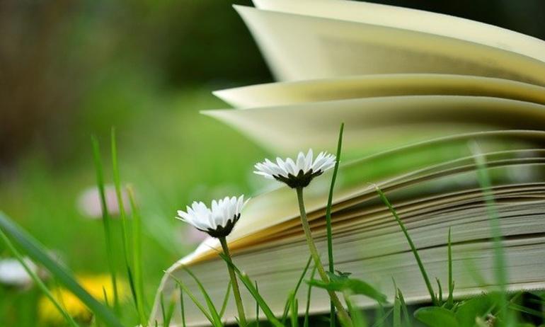 Portage de livres à domicile