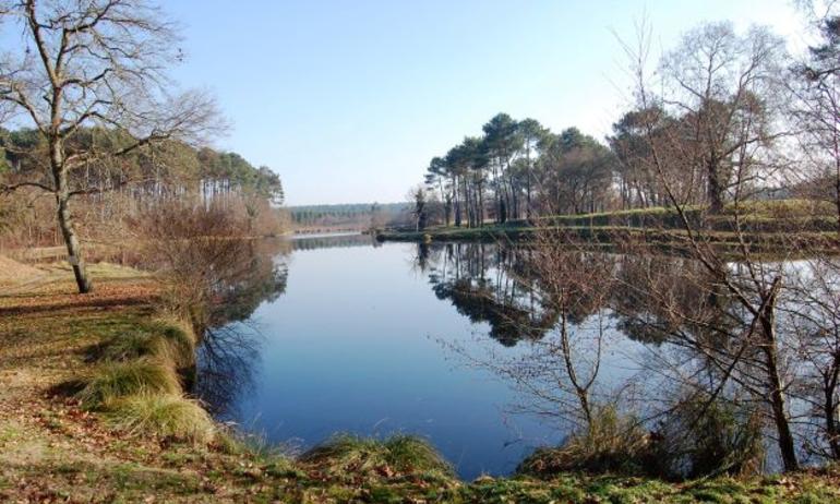 Aménagement du lac des Forges
