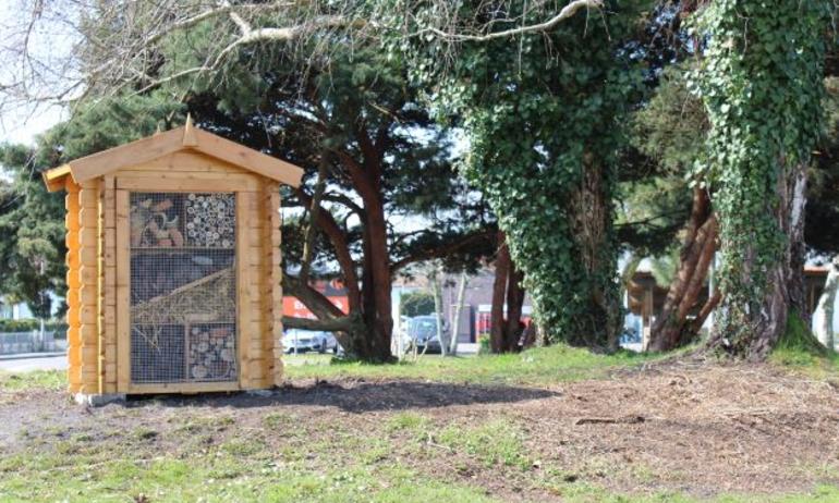 Fabrication d’un hôtel à insectes