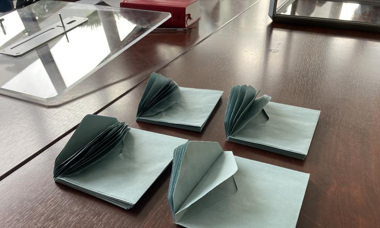 Élection du Conseil Municipal des Enfants