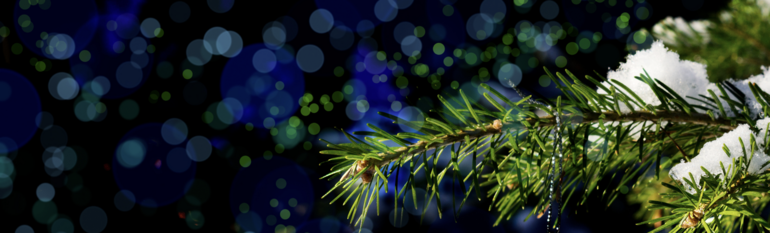 Fêtes de fin d'année